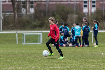 Bild 32 - D-Juniorinnen SVHU - FFC Nordlichter Norderstedt : Ergebnis: 10:0